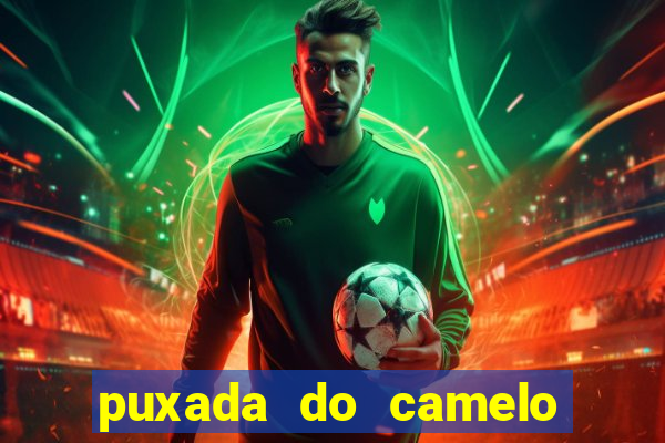 puxada do camelo no jogo do bicho